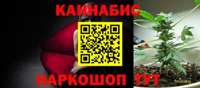 прущие крисы Усть-Джегута