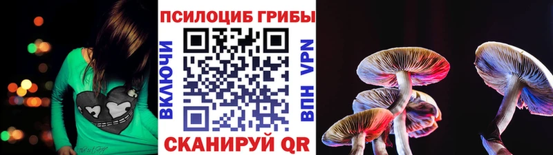 Галлюциногенные грибы MAGIC MUSHROOMS  закладки  Стерлитамак 