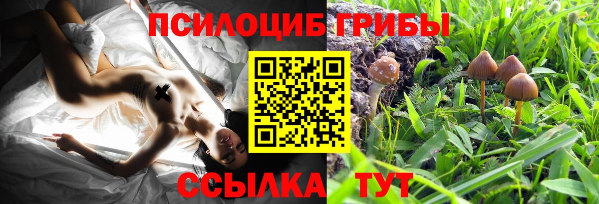 Стерлитамак  Галлюциногенные грибы MAGIC MUSHROOMS  Вход с VPN 